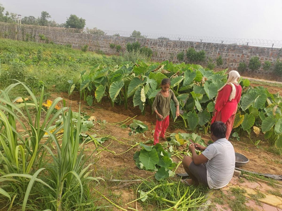 Ekant Farm House Villa Sohna Ngoại thất bức ảnh